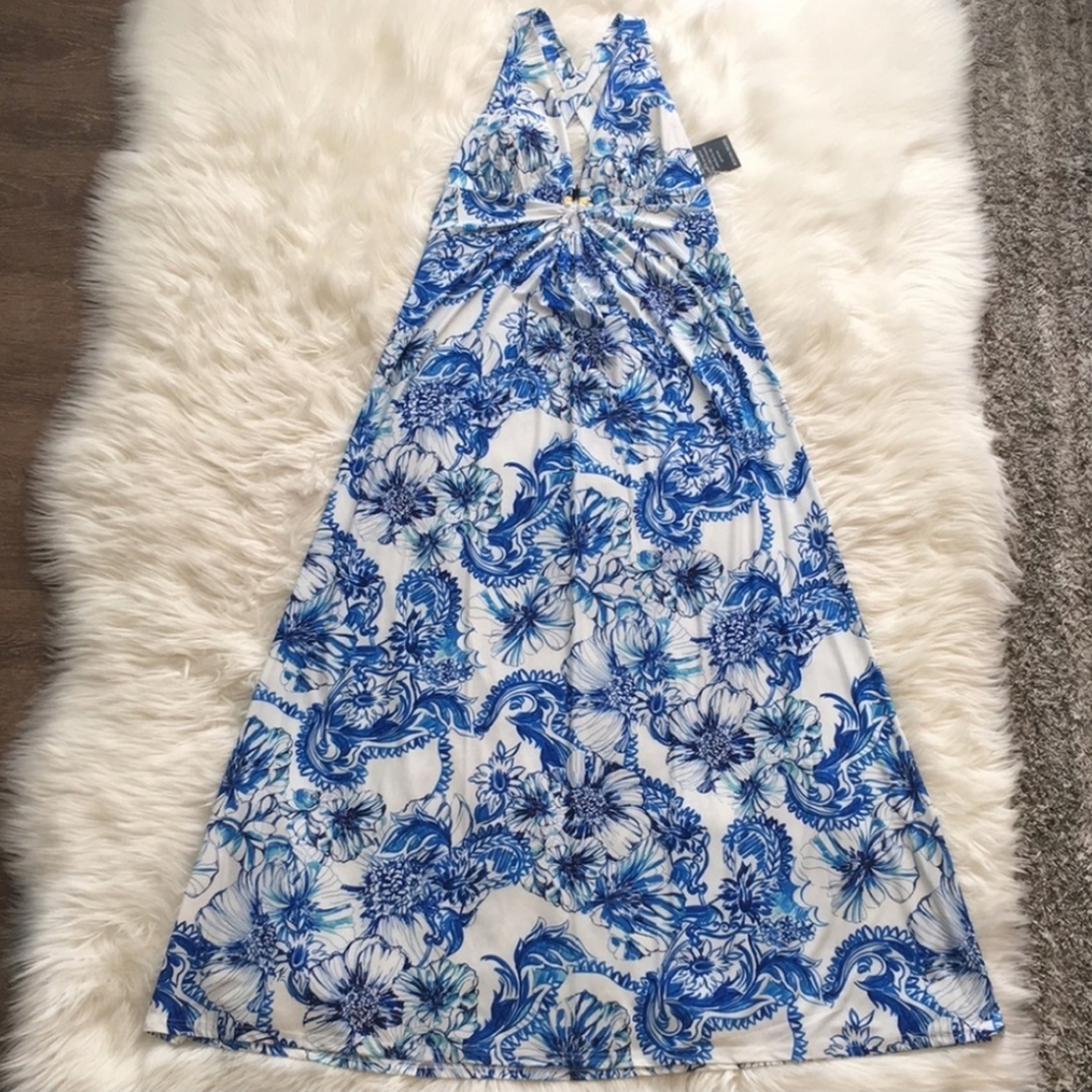 Boston Proper Blue and White Floral Maxi Dress